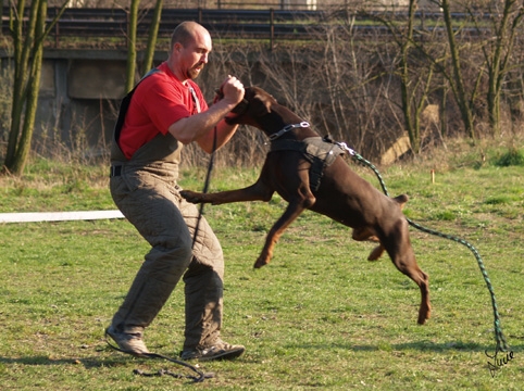 Training 26. 3. 2007